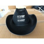 Branded Felt Cowboy Hat
