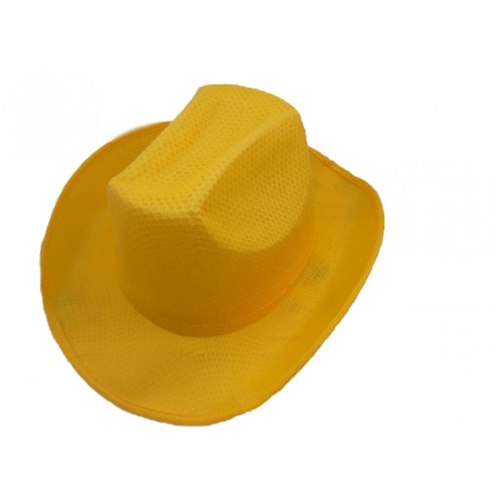 Branded Large Brim Cowboy Hat Branded Large Brim Cowboy Hat