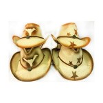 Branded Cowboy Hats with Bull Horn or Stars