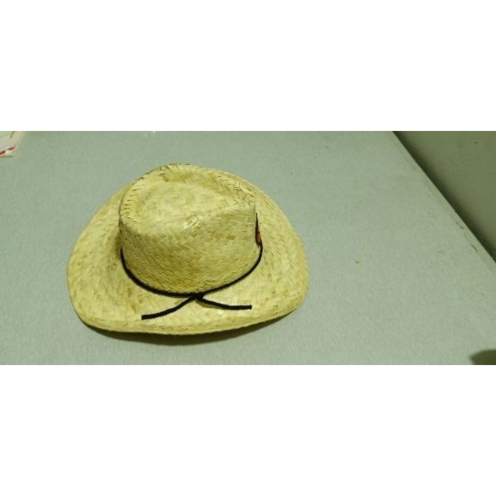 Branded Men Straw Cowboy Hats