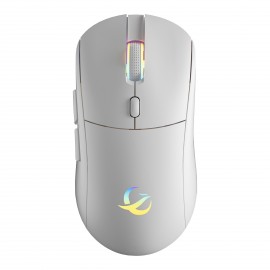 Customized Wireless Bluetooth Mouse