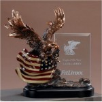 American Eagle Award w/Glass Panel with Logo