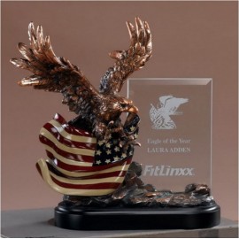 American Eagle Award w/Glass Panel with Logo  American Eagle Award w/Glass Panel with Logo