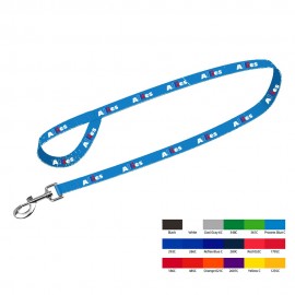 Baxter Leash with Collar Hook-M 1"X4 foot with Logo