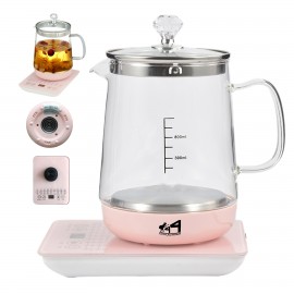 Temperature Control Electric Glass Kettle with Logo  Temperature Control Electric Glass Kettle with Logo