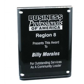 Custom 6" x 8" Magnetic Acrylic Awards