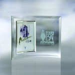 7 1/4" Curved Beveled Picture Frame Award with Logo