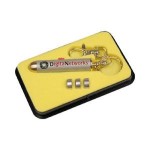 Personalized Laser Light Key Ring