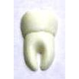 0.16 Oz. Chocolate Tooth Bite Size Custom Imprinted  0.16 Oz. Chocolate Tooth Bite Size Custom Imprinted