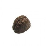 9.92 Oz. Chocolate Brain Large Custom Imprinted
