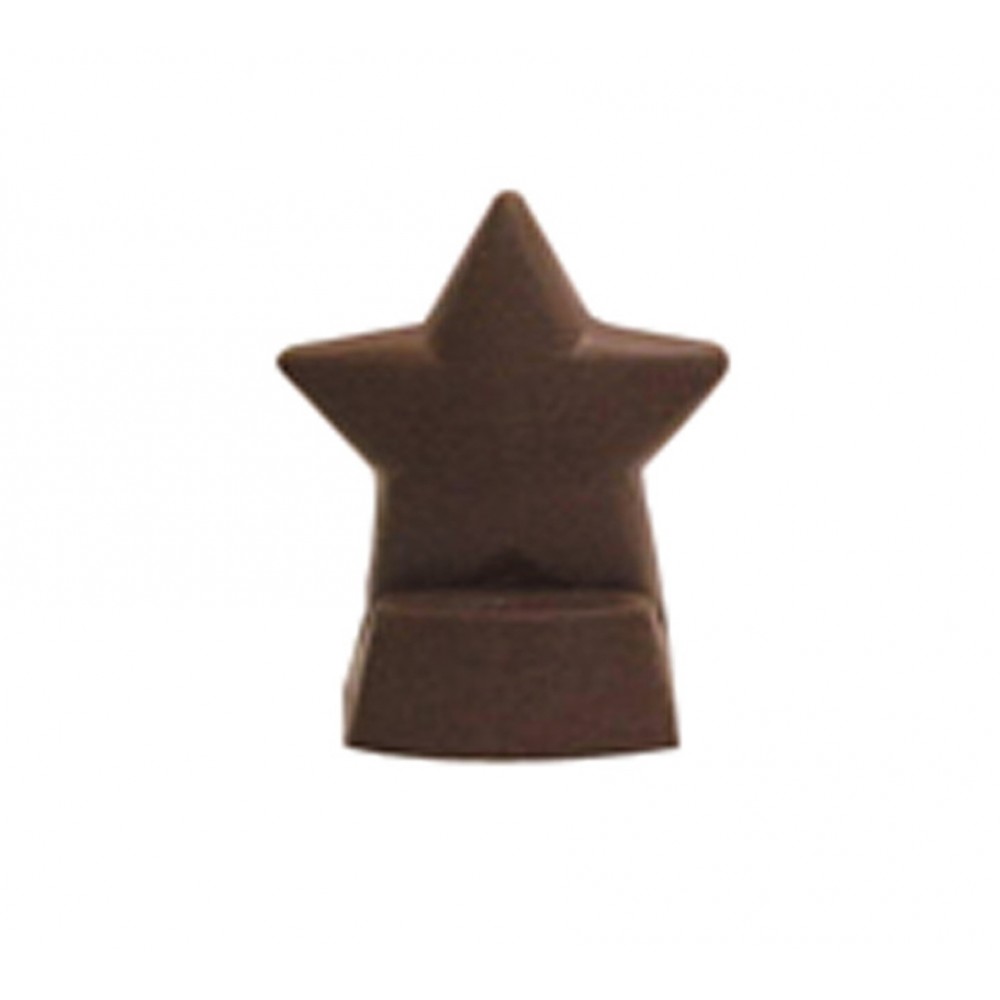 4.32 Oz. 2 Piece Chocolate Star Award Logo Branded