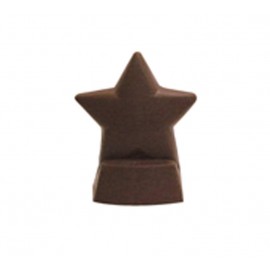 4.32 Oz. 2 Piece Chocolate Star Award Logo Branded  4.32 Oz. 2 Piece Chocolate Star Award Logo Branded