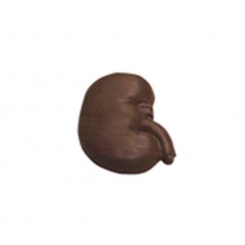 1.28 Oz. Chocolate Kidney Logo Branded  1.28 Oz. Chocolate Kidney Logo Branded