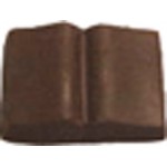 1.04 Oz. Large Chocolate Open Book Logo Branded