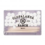 Promotional Rectangle Mints & Toothpicks - Translucent Purple