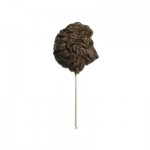 1.6 Oz. Chocolate Lion Head On A Stick Custom Imprinted