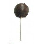 1.12 Oz. Chocolate Apple On A Stick Logo Branded