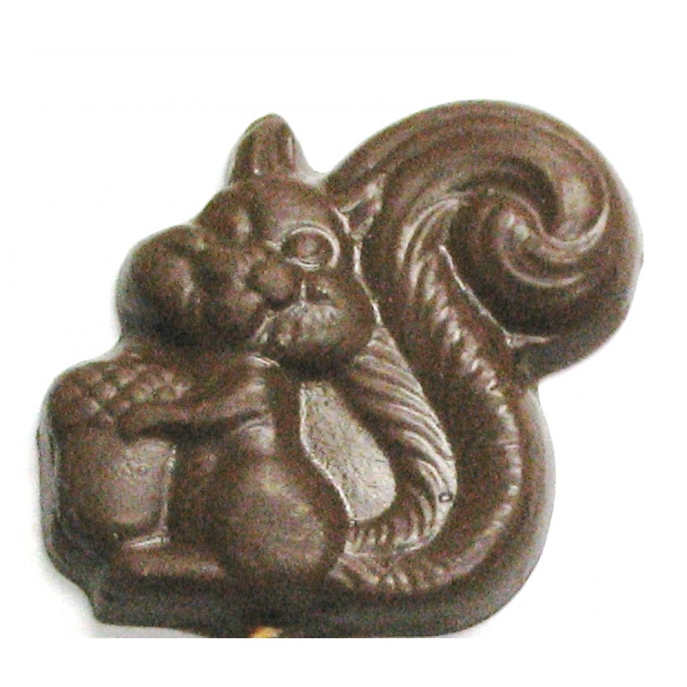 0.56 Oz. Chocolate Squirrel Custom Printed