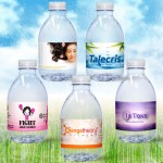 16.9 oz. Spring Water Full Color Label, Clear Bullet Bottle w/Purple Cap Logo Branded