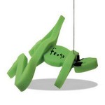 Custom Printed Frog on a Leash
