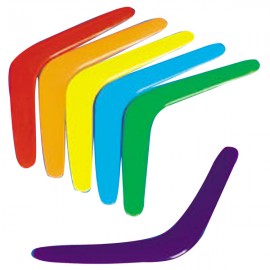 Custom Boomerang 10" Mini  Custom Boomerang 10" Mini