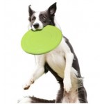 Training Soft Rubber Pet Flying Disc with Logo