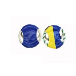 Promotional Flying Sports Disc Dog Toy