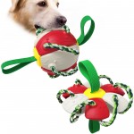 Dog Toy Foldable Flying Disc / Flyer with Logo
