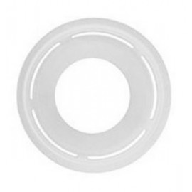 Wild Wind Plastic Disk with Logo