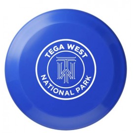 5-Inch Flyer with Logo