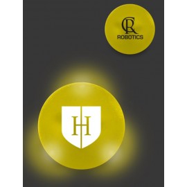 Personalized Frosted LED Lighted Balls  Personalized Frosted LED Lighted Balls