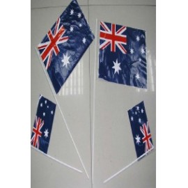 Logo Branded PE Flag