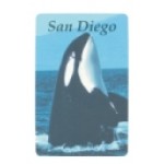 Customized Souvenir Playing Cards - San Diego Orca Deck