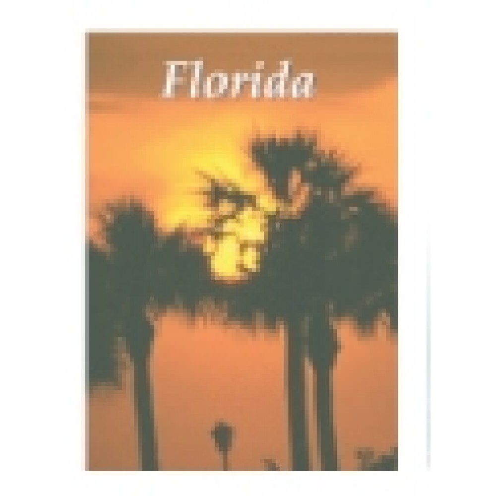 Souvenir Playing Cards - Florida Sunset Deck with Logo