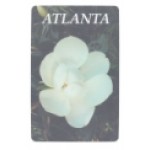 Customized Souvenir Playing Cards - Georgia's State Flower Deck