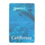 Souvenir Playing Cards - California Dolphin Deck with Logo