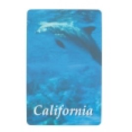 Souvenir Playing Cards - California Dolphin Deck with Logo  Souvenir Playing Cards - California Dolphin Deck with Logo