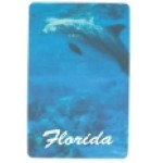 Souvenir Playing Cards - Florida Dolphin Deck with Logo