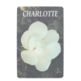Logo Branded Souvenir Playing Cards - Charlotte Flower Deck  Logo Branded Souvenir Playing Cards - Charlotte Flower Deck