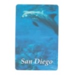 Souvenir Playing Cards - San Diego Dolphin Deck with Logo