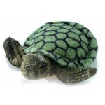 8" Splish Splash Turtle Stuffed Animal Custom Personalized