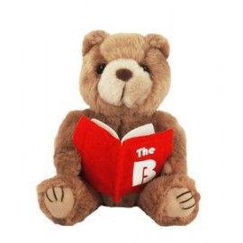 Customized 8" Librarian Kirby Bear Stuffed Animal
