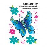 Cartoon Butterfly Temporary Tattoo Logo Printed
