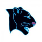 Logo Printed Panther Temporary Tattoo