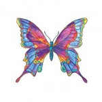 Multicolored Butterfly Temporary Tattoo Custom Personalized