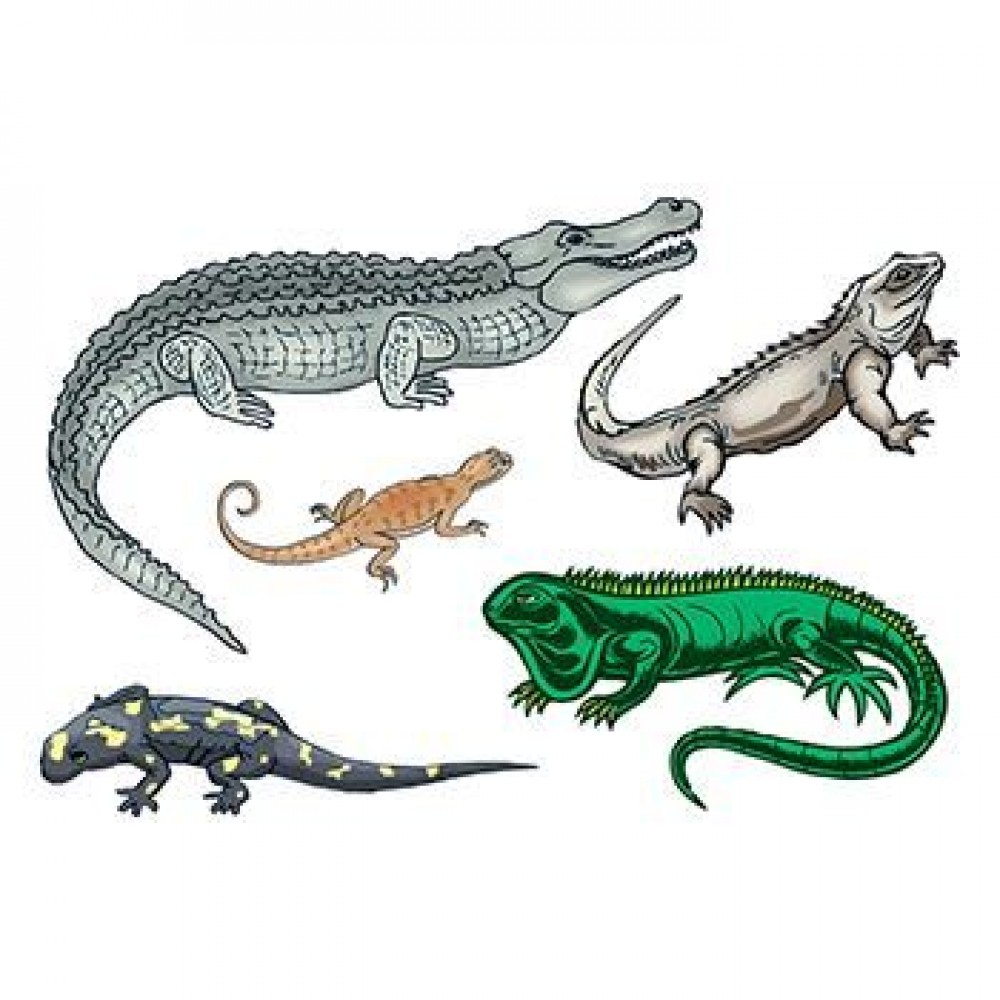 Reptiles Sheet of Temporary Tattoos Logo Printed