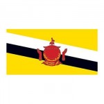 Brunei Flag Temporary Tattoos Custom Personalized