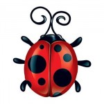 Ladybug Temporary Tattoo Logo Printed