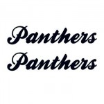 Panthers Text Temporary Tattoo Custom Imprinted