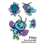 Cartoon Flies temporary tattoo Custom Imprinted
